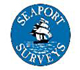 Seaport Surveys